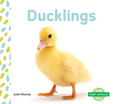 Ducklings - Book  of the Baby Animals