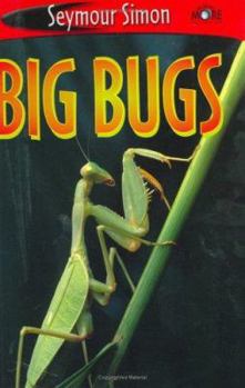 Hardcover See More Readers: Big Bugs - Level 1 : Level 1 Book