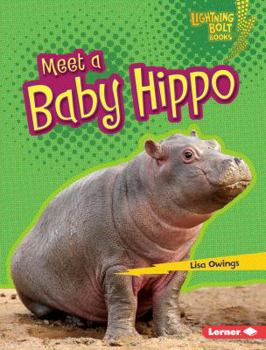 Meet a Baby Hippo - Book  of the Baby African Animals