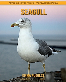 Seagull: Amazing Photos and Fun Facts about Seagull