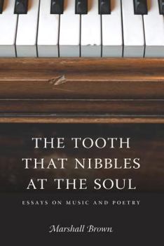 Paperback The Tooth That Nibbles at the Soul: Essays on Music and Poetry Book