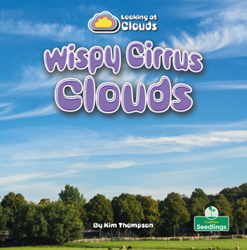 Paperback Wispy Cirrus Clouds Book