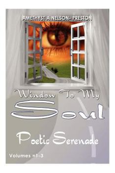 Paperback The Window To My Soul Book