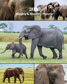 Paperback 2020 Weekly and Monthly Planner: Elephant and Calf Collage - Monthly Calendar with U.S./UK/ Canadian/Christian/Jewish/Muslim Holidays- Calendar in Rev Book