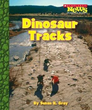 Library Binding Dinosaur Tracks Book