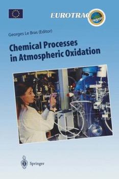 Paperback Chemical Processes in Atmospheric Oxidation: Laboratory Studies of Chemistry Related to Tropospheric Ozone Book