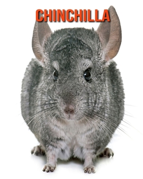 Paperback Chinchilla: Informations Etonnantes & Images [French] Book