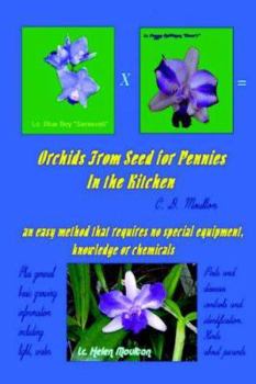 Paperback Orchids from Seed for Pennies Book