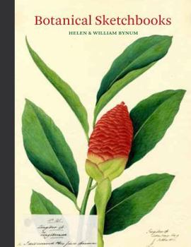 Hardcover Botanical Sketchbooks: (Over 500 Years of Beautiful Botanical Sketches by 80 Artists from Around the World, from Leonardo Da Vinci to John Mu Book