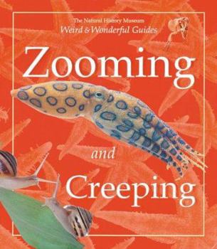 Hardcover Zooming and Creeping Book