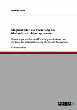 Paperback Möglichkeiten zur Förderung der Motivation in Arbeitsprozessen: Eine Analyse von Personalförderungsmaßnahmen auf der Basis der Selbstbestimmungstheori [German] Book