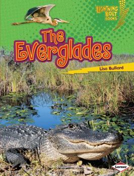 Library Binding The Everglades Book