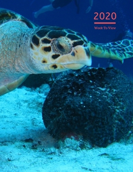 2020 A4 Diary Week To View Planner For All Occasions: | Year Planner For Business, Office, Home, University, College, School, Appointments, Organizer.