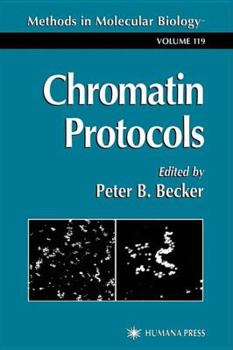 Hardcover Chromatin Protocols (Methods in Molecular Biology) Book