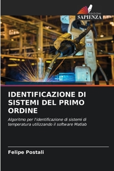 Paperback Identificazione Di Sistemi del Primo Ordine [Italian] Book