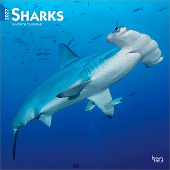 Sharks 2027 12 X 24 Inch (Hanging) Monthly Square Wall Calendar Plastic-Free