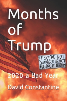 Paperback Months of Trump: 2020 a Bad Year Book