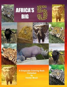 Africa's BIG 5: A Greyscale Coloring Book