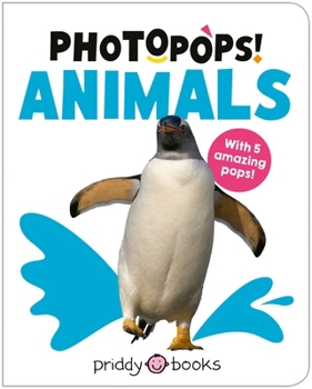 Board book Photopops Animals Book