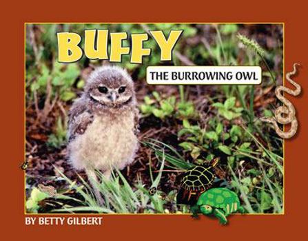 Buffy The Burrowing Owl