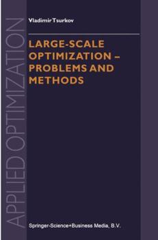 Paperback Large-Scale Optimization: Problems and Methods Book