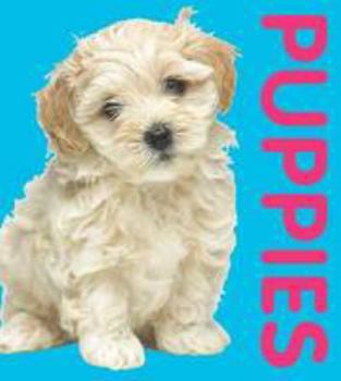 Board book Photographic Shaped Board Book: Puppies Book