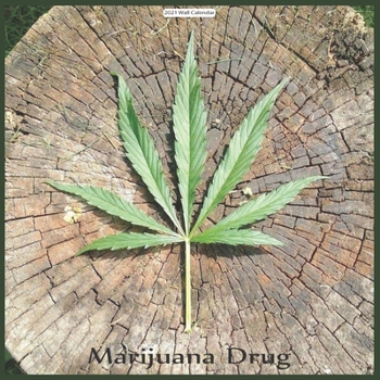 Paperback Marijuana Drug 2021 Wall Calendar: Official Marijuana Calendar 2021 Book