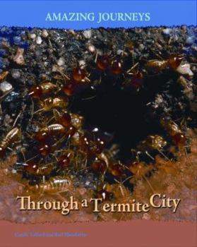 Paperback Through a Termite City (Amazing Journeys/2nd Edition) Book