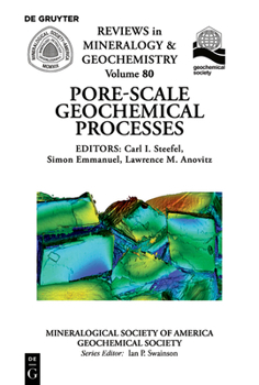 Paperback Pore Scale Geochemical Processes Book