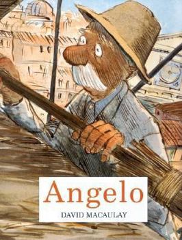 Hardcover Angelo Book