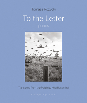 Paperback To the Letter: Poems Book