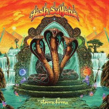 Vinyl Terra Firma Book