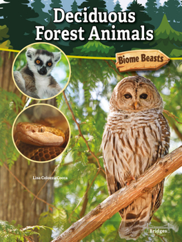 Hardcover Deciduous Forest Animals Book