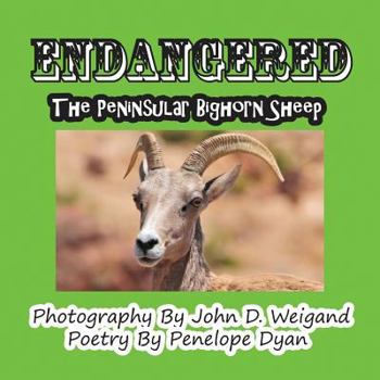 Paperback Endangered--The Peninsular Bighorn Sheep Book