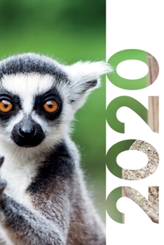 2020: Ring tailed lemur Colorful Planner Calendar Organizer Daily Weekly Monthly Student Diary for researching peace corps madagascar packing list