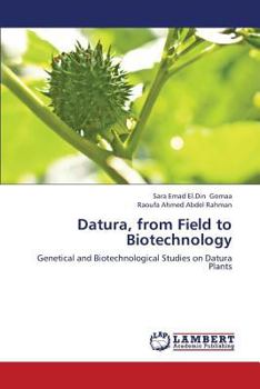 Paperback Datura, from Field to Biotechnology Book