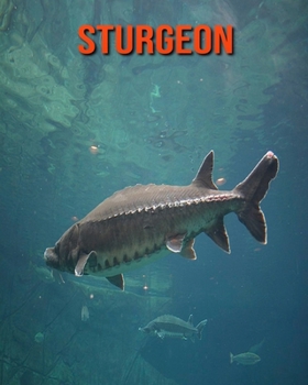 Paperback Sturgeon: Amazing Facts about Sturgeon Book