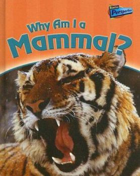Library Binding Why Am I a Mammal? Book