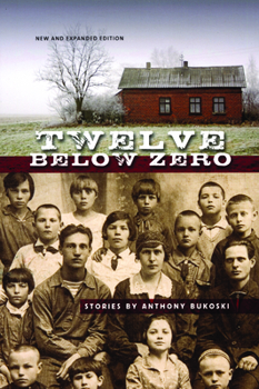 Paperback Twelve Below Zero Book