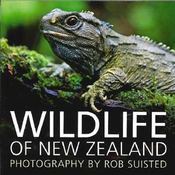 Paperback Wildlife of New Zealand Book