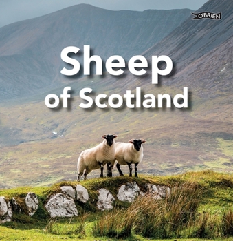 Hardcover Sheep of Scotland Book