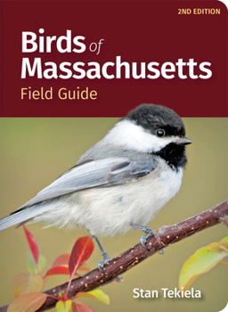 Paperback Birds of Massachusetts Field Guide Book