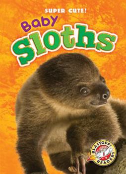Library Binding Baby Sloths Book