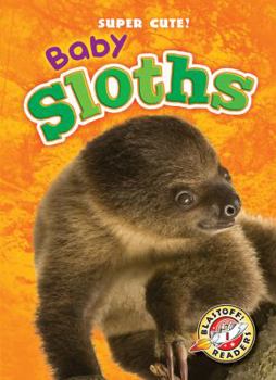 Baby Sloths - Book  of the Super Cute!