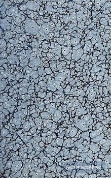 Paperback Gedankengänge (Notizbuch): Notizbuch, Notebook, Vintage, Old Fashion, Klassiker, Edel, Design, Einschreibbuch, Tagebuch, Diary, Notes, Geschenkbuch, G [German] Book