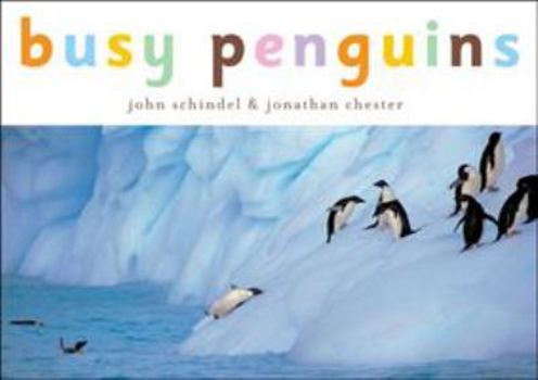 Busy Penguins - Book  of the A Busy Book