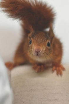 Paperback Animal Notebook 02: Squirrel 'Felix' (Journal, Diary), Softcover 6" x 9" (Volume 2) Book