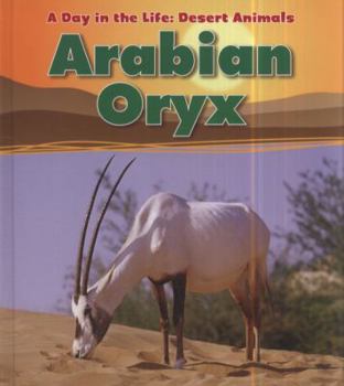 Hardcover Arabian Oryx (Day in the Life. Desert Animals) Book