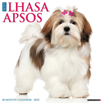 Calendar Just Lhasa Apsos 2025 12 X 12 Wall Calendar Book