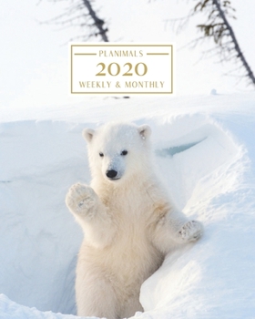 Paperback 2020: Weekly and Monthly Planner/Calendar Jan 2020 - Dec 2020 Cute White Polar Bear Book